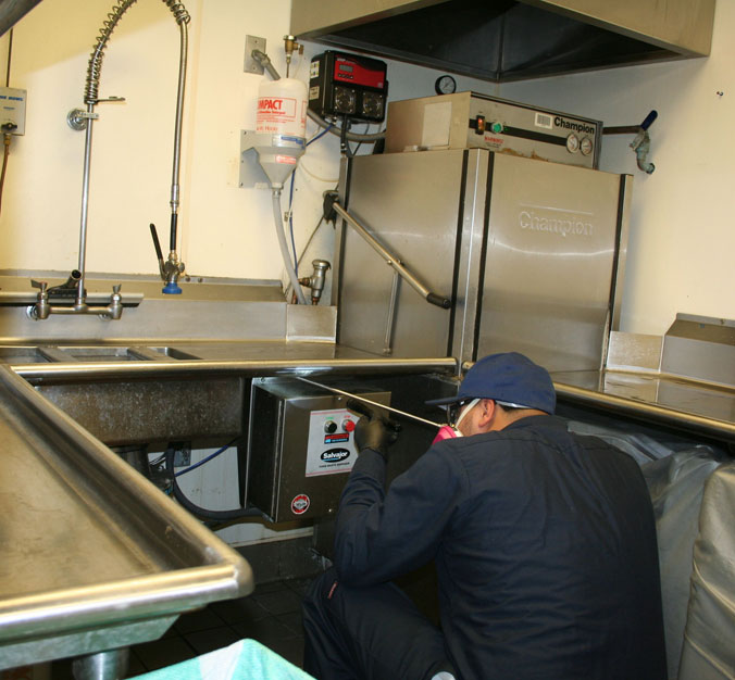 Restaurant-Pest-Control